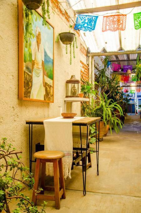 The Loft, Centro