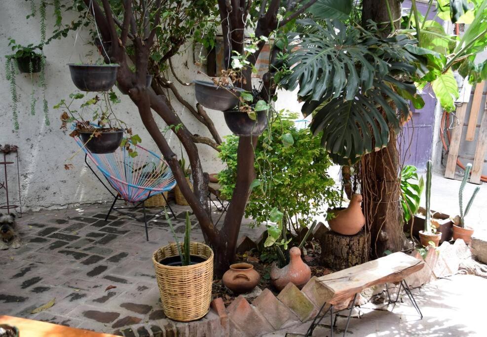 Apartamento The Loft, Centro *