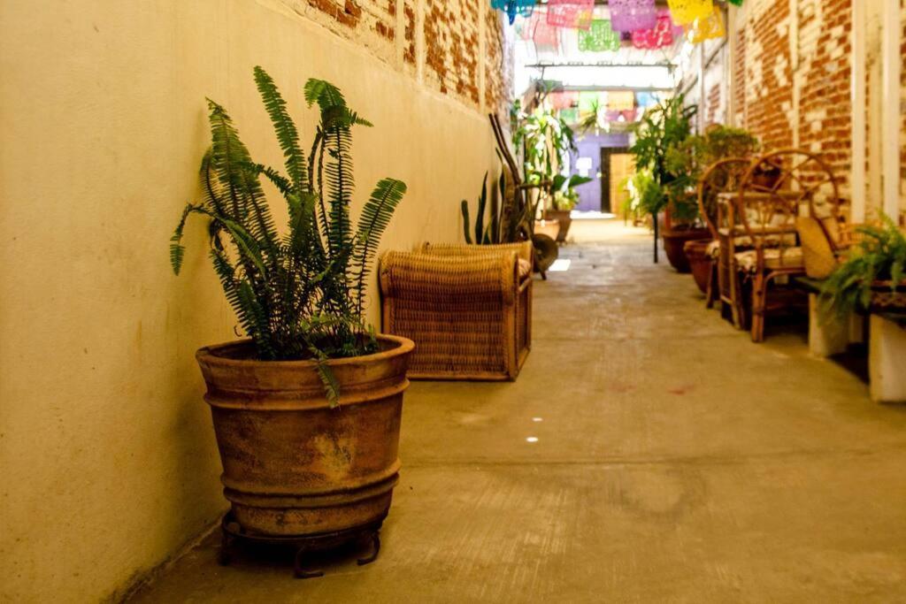 The Loft, Centro Oaxaca