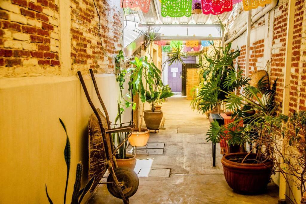 The Loft, Centro